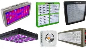 LED Grow Lights