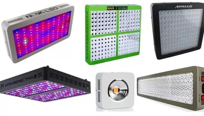 LED Grow Lights