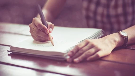 Write Professional Style Essays