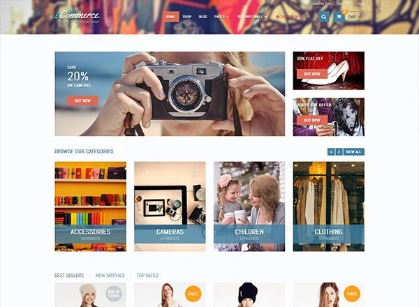 WordPress eCommerce Themes