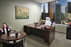 Must Have Things for a Modern Office