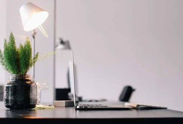 Office plants