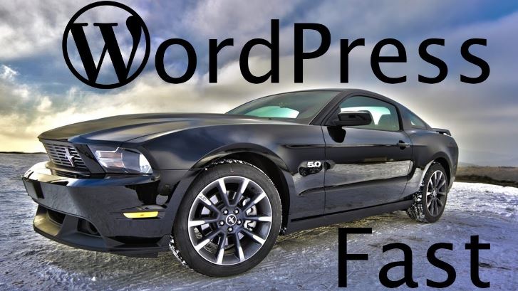 Tips to Speed Up WordPress Performance