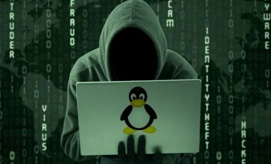 Computer Security Issues