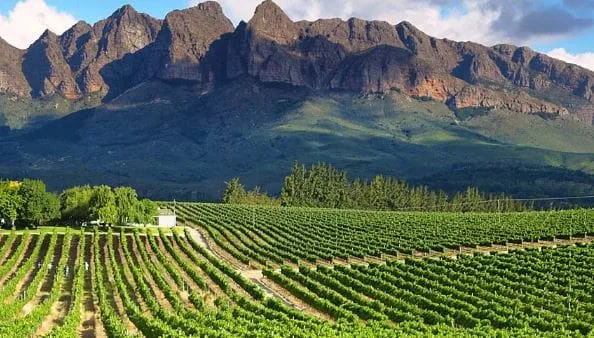 Cape Winelands District Municipality