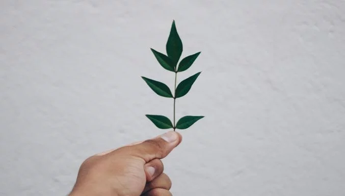 Lead Nurturing Tactics