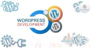 Advantages Of Custom WordPress Development Services