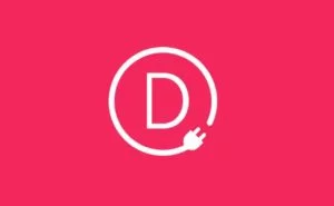 Is Elegant Themes Divi the Best Choice For a Business
