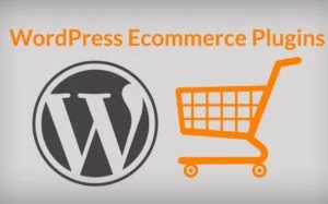 Best WordPress E-Commerce Plugins for Online Stores