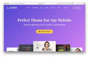Pros and Cons of Using the WP Astra WordPress Theme