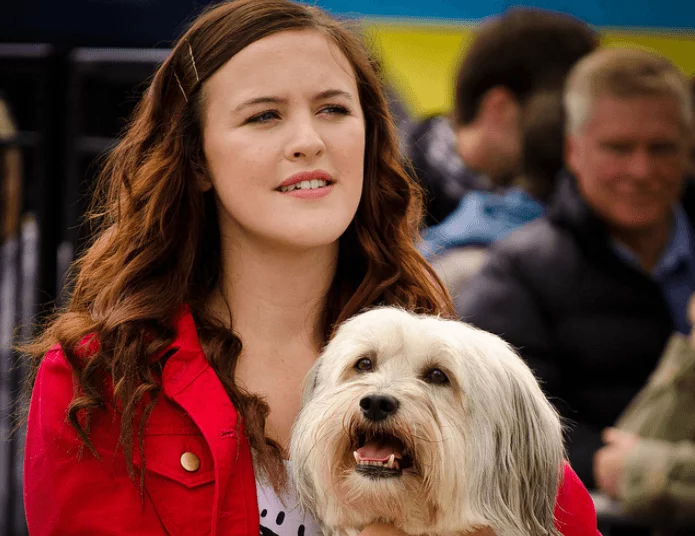 Britain’s Got Talent Winners List | All Season Champions With Full Details & Highlights 7 Ashleigh and Pudsey - BGT S6 Winner