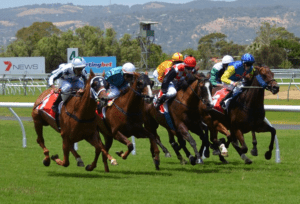 Online Sports Betting