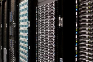 Do I Need a Dedicated Server for My WordPress Site?