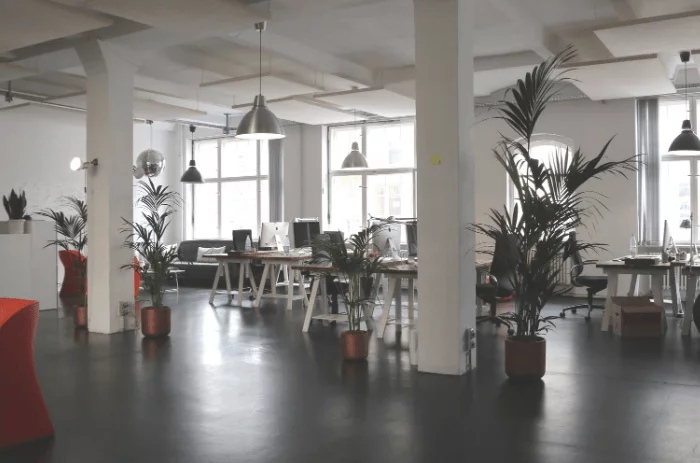 Pros & Cons Of Having Own Company Premises