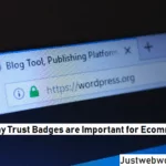 Importance of Trust Seals for E-Commerce