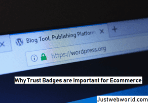 Importance of Trust Seals for E-Commerce