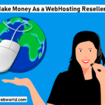 How Do You Make Money As a WebHosting Reseller