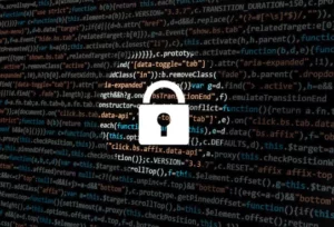What Should You Know About Network Security?
