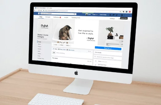 Web Design Tips for Professional Site