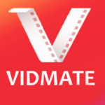 Why Should You Choose Vidmate to Download Videos On Mobile?