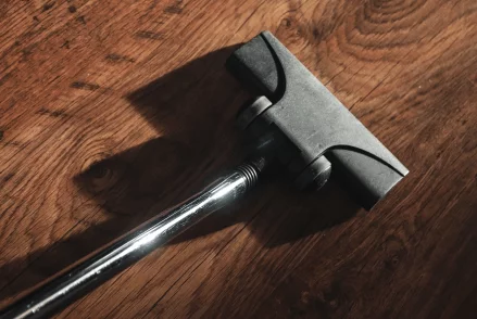 Dual purpose vacuum cleaner