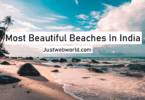Beautiful Beaches In India To Visit