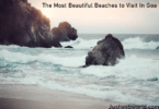 List of Best Beaches In Goa To Visit