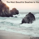 List of Best Beaches In Goa To Visit