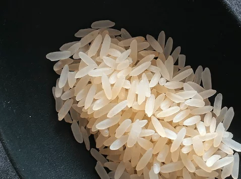 Rice