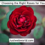 Choose the Right Roses for Your Garden