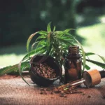 Cbd Cannabidio Oil Hemp