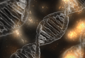 Next Generation Sequencing Market