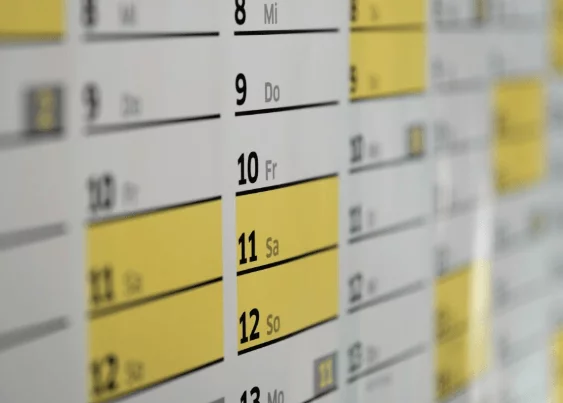 Stick to a Schedule