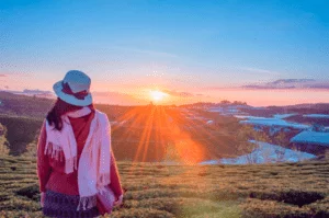 Is There Any Scope In Tourism Management?