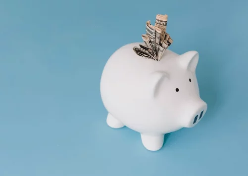 Saving Bank