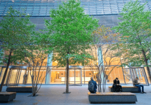 Creating A Green Office Space