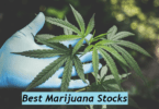 Marijuana Stocks - Top Cannabis Stocks