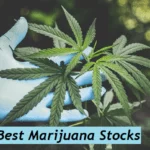 Marijuana Stocks - Top Cannabis Stocks