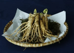 5 Surprising Things About American Ginseng