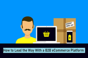 B2B eCommerce Platform