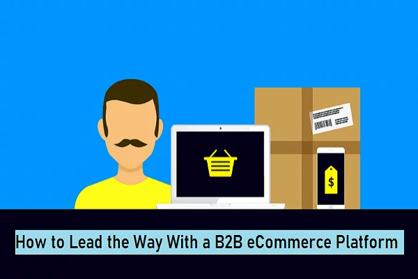 B2B eCommerce Platform