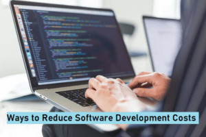 Reduce Custom Software Development Cost