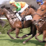 Horse racing - Sport