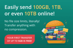 FileWhopper - Transfer Big Files Online