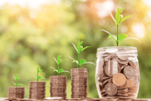 Things to Look for In An Investor
