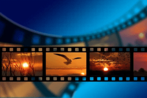 High Quality Pictures & Stock Videos