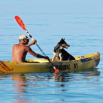 A Guide to Kayaking With Your Dog