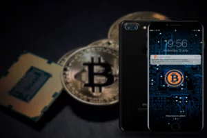 An Ultimate Guide About Bitcoin Wallets for Beginners!