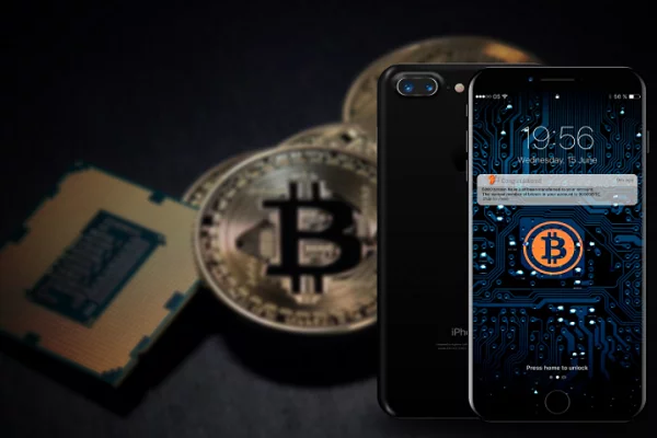 Ultimate Guide About Bitcoin Wallets