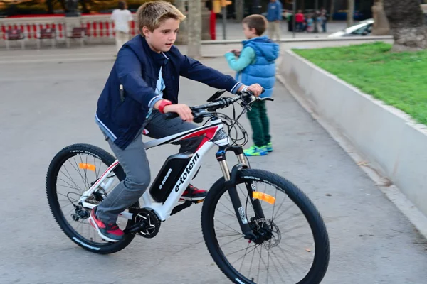 Electric mountain bikes